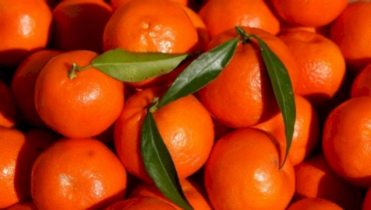 Cine a inventat clementinele? Secretul neștiut al celui mai consumat fruct al sezonului