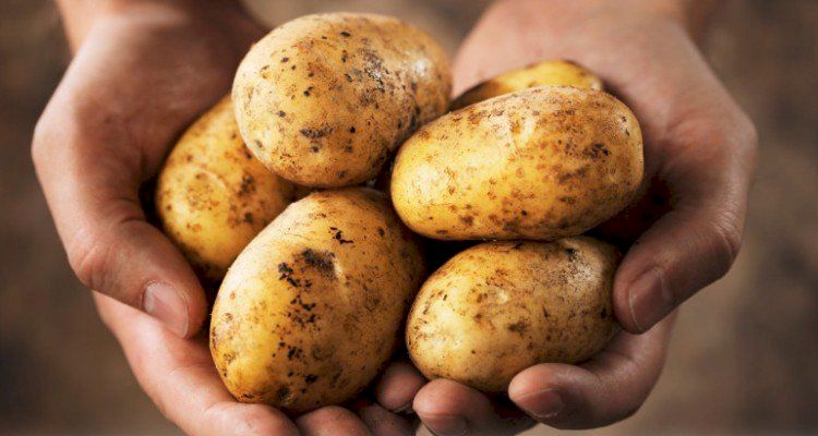 Cele trei alimente care te ajută să slăbești. În ce cantități trebuie consumate. Ce spun specialiștii