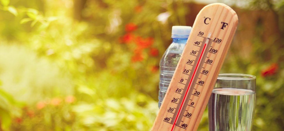 Aceste alimente sunt interzise vara! Riști să faci un atac cerebral sau un infarct dacă le consumi