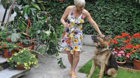 Circ în showbiz! Monica Tatoiu, la un pas să o pocnească pe Clotilde Armand! Scandal ca-n filme între cele două