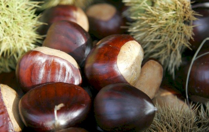 Consumați castane în această perioadă? Atunci este bine să știți ce efecte au asupra voastră