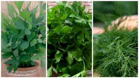 Pătrunjelul și mărarul, adevărate medicamente naturale! Ce beneficii aduc și cum pot fi folosite
