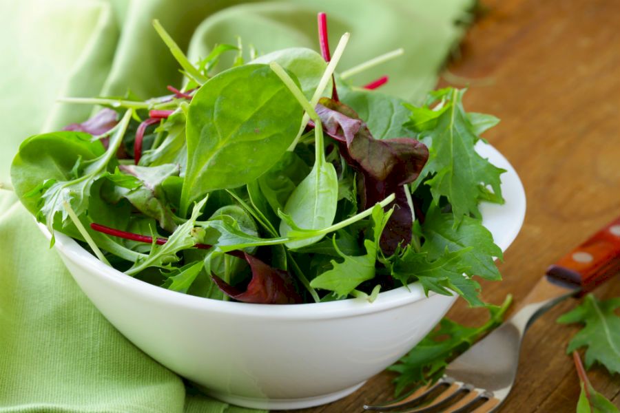 Pericolul din salata verde, ceapă și usturoi verde! Cum vă dați seama că sunt toxice! Atenție de unde le cumpărați