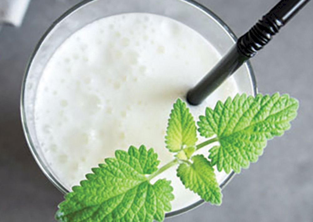 Rețetă: Prepară în casă cel mai bun Ayran! Ingredientele secrete, dezvăluite de cei mai mari bucătari turci