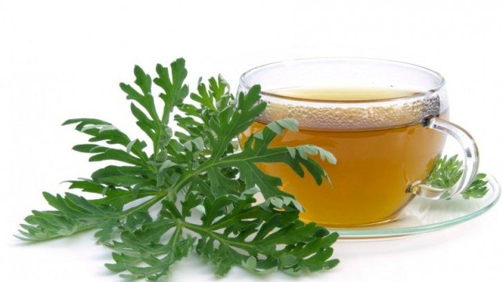 Beneficiile extraordinare ale ceaiului de pelin: Începe să-l consumi de azi!