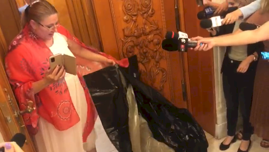 Diana Șoșoacă a luat la bătaie un senator. L-a tras puternic de nas. Din nou scene jenante în Parlament. Politicianul depune plângere