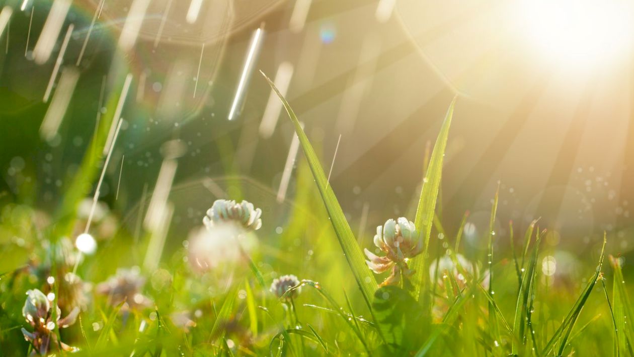 METEO. Când se opresc ploile. Temperaturile vor crește considerabil