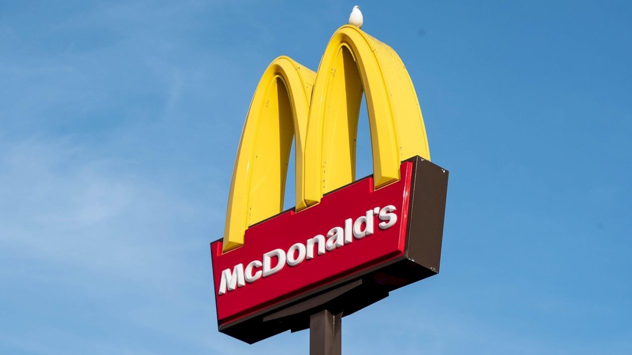 Câte calorii are un hamburger de la McDonald’s și câte are un șnițel făcut acasă. Detaliul care face diferența